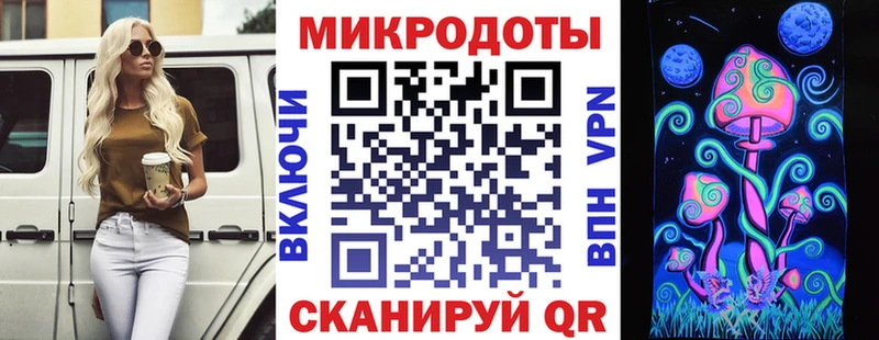 Псилоцибиновые грибы Psilocybe  Суворов 