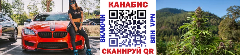 наркота Суворов мориарти Telegram Каннабис ГИДРОПОН